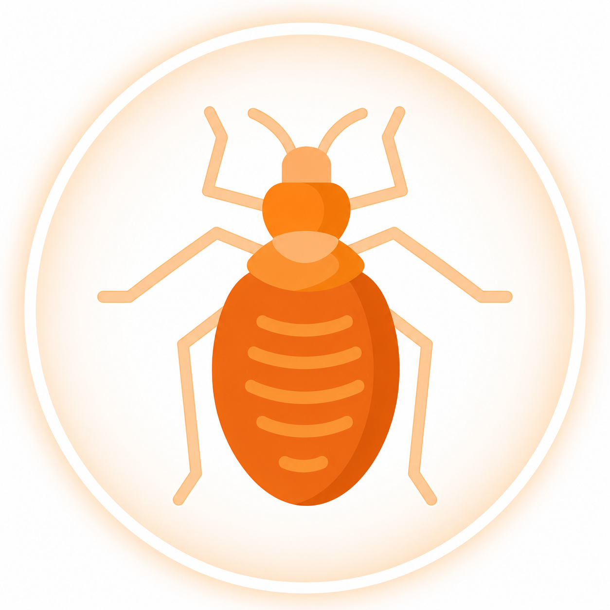 Bed Bug Control